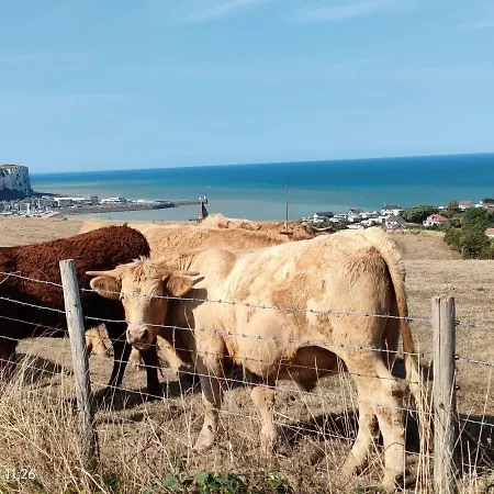 Du Littoral * Mers-les-Bains